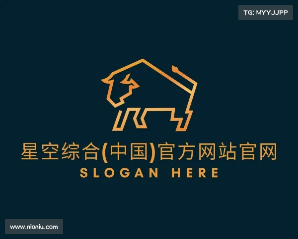 解读星空综合官网
